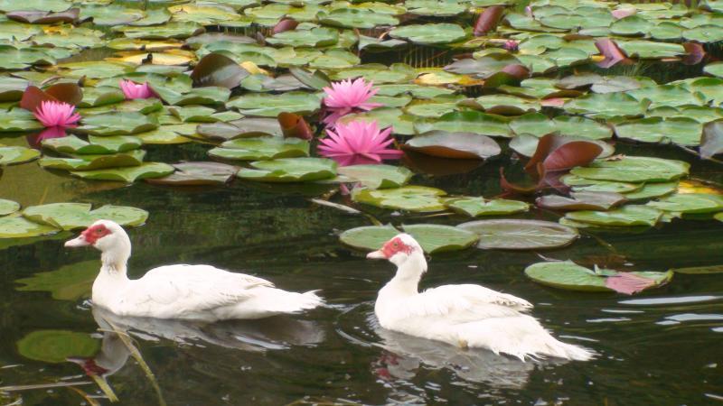 Nirvana Spiritual Retreat Глостер Экстерьер фото